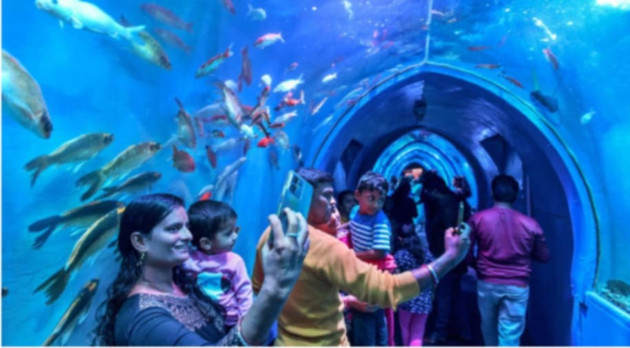 फिस टनेल एक्स्पोमा विद्यालयलाई विशेष छुट